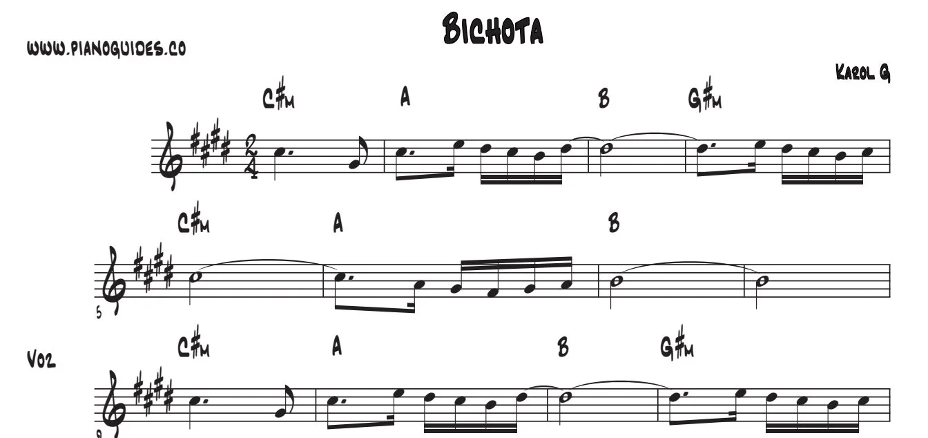 Título y primeras líneas de la guía de Bichota
