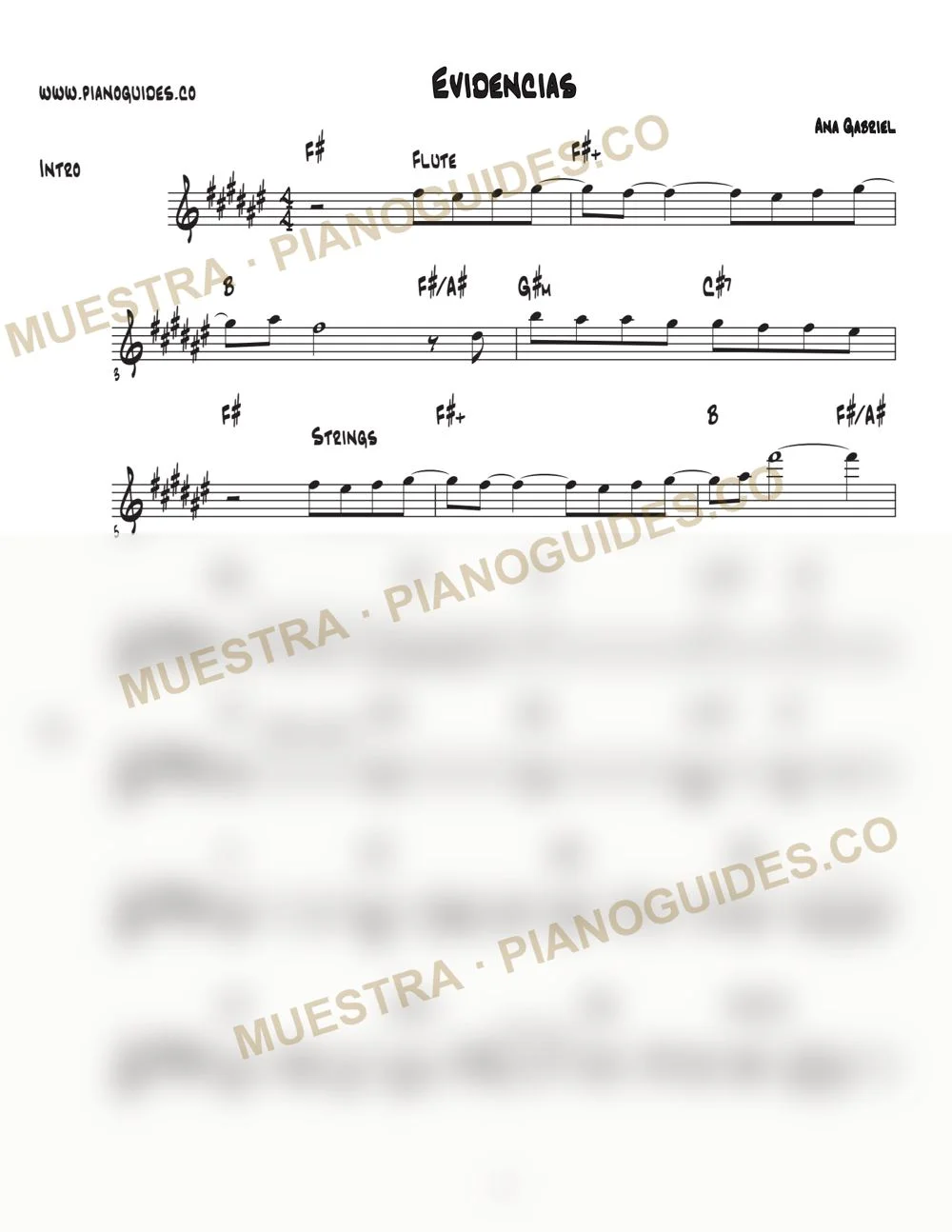 Primera página de la guía Evidencias