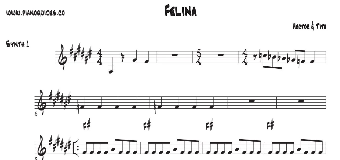 Título y primeras líneas de la guía de Felina