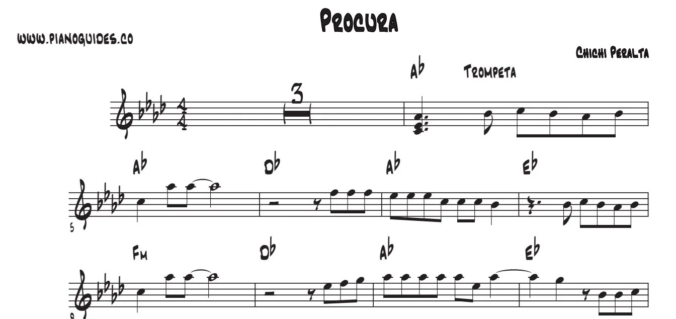 Título y primeras líneas de la guía de Procura