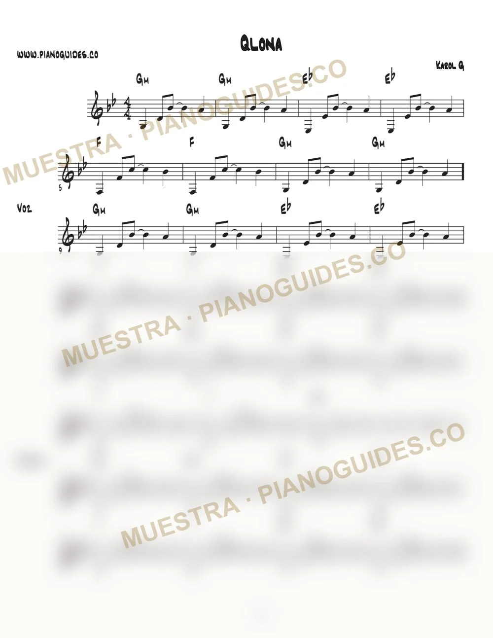 Primera página de la guía Qlona