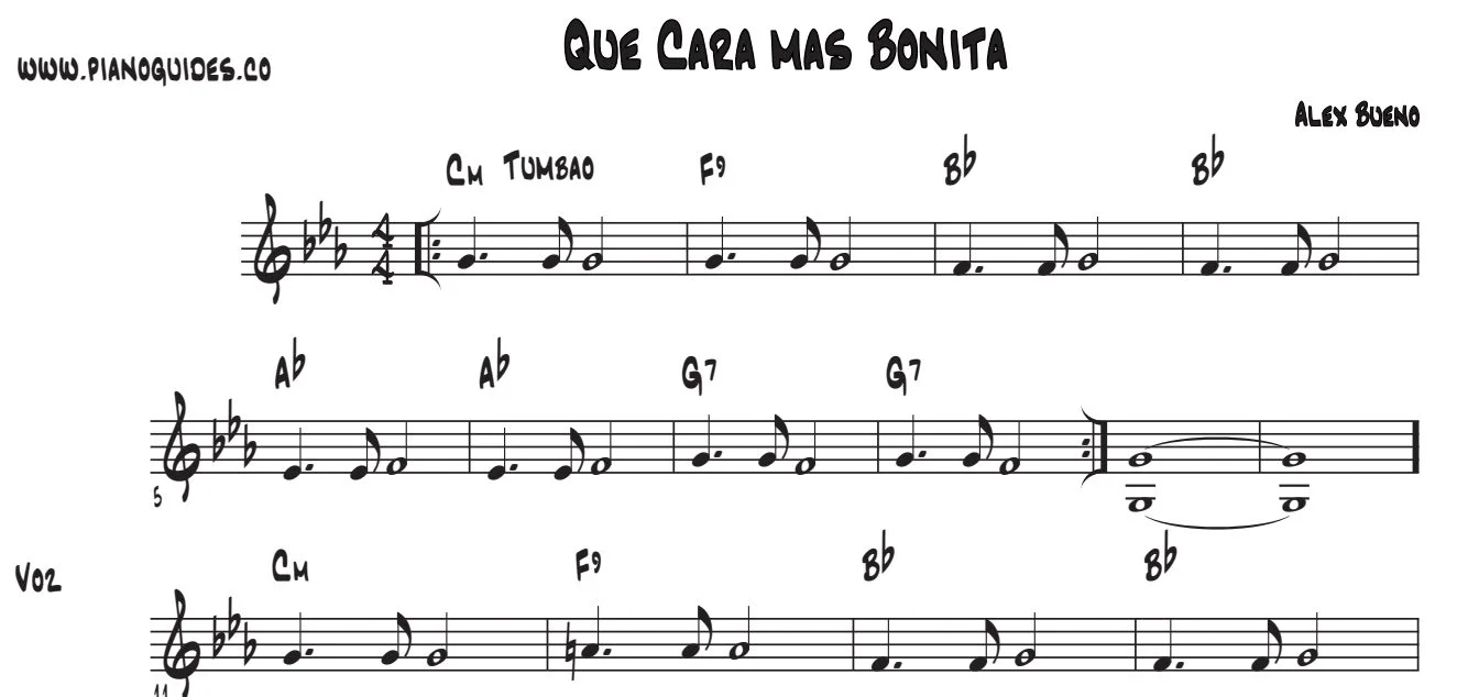 Título y primeras líneas de la guía de Que Cara Más Bonita