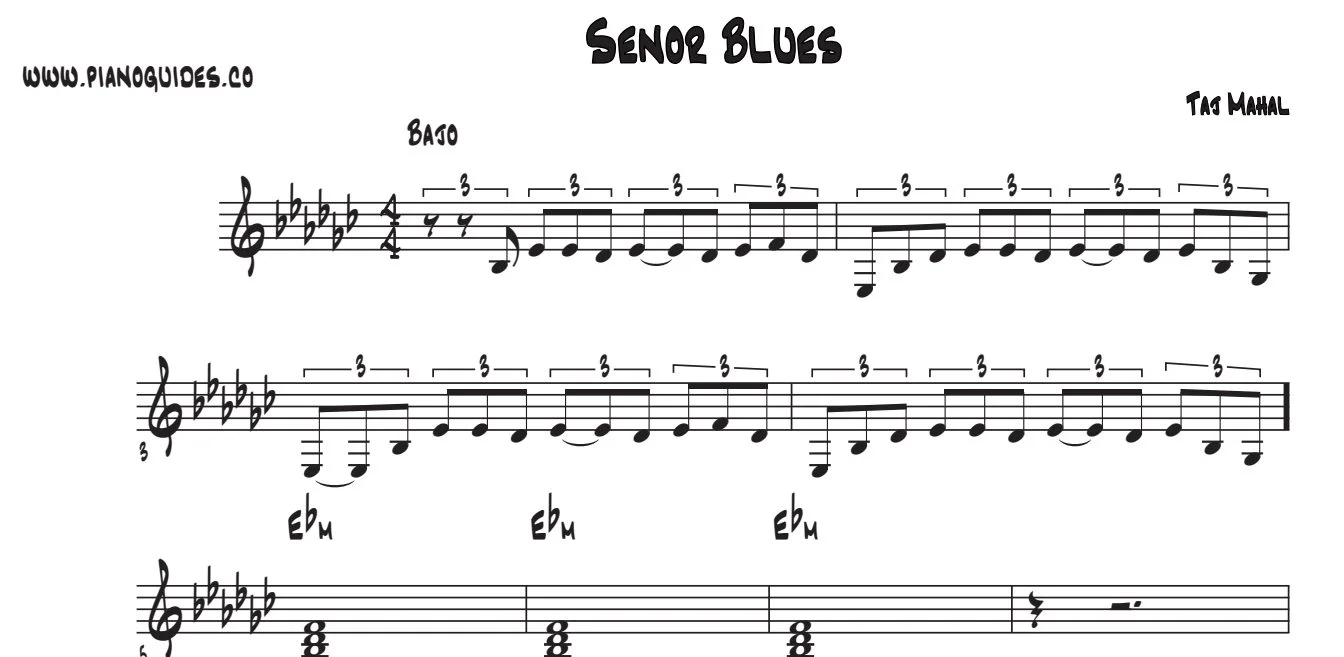 Título y primeras líneas de la guía de Señor Blues