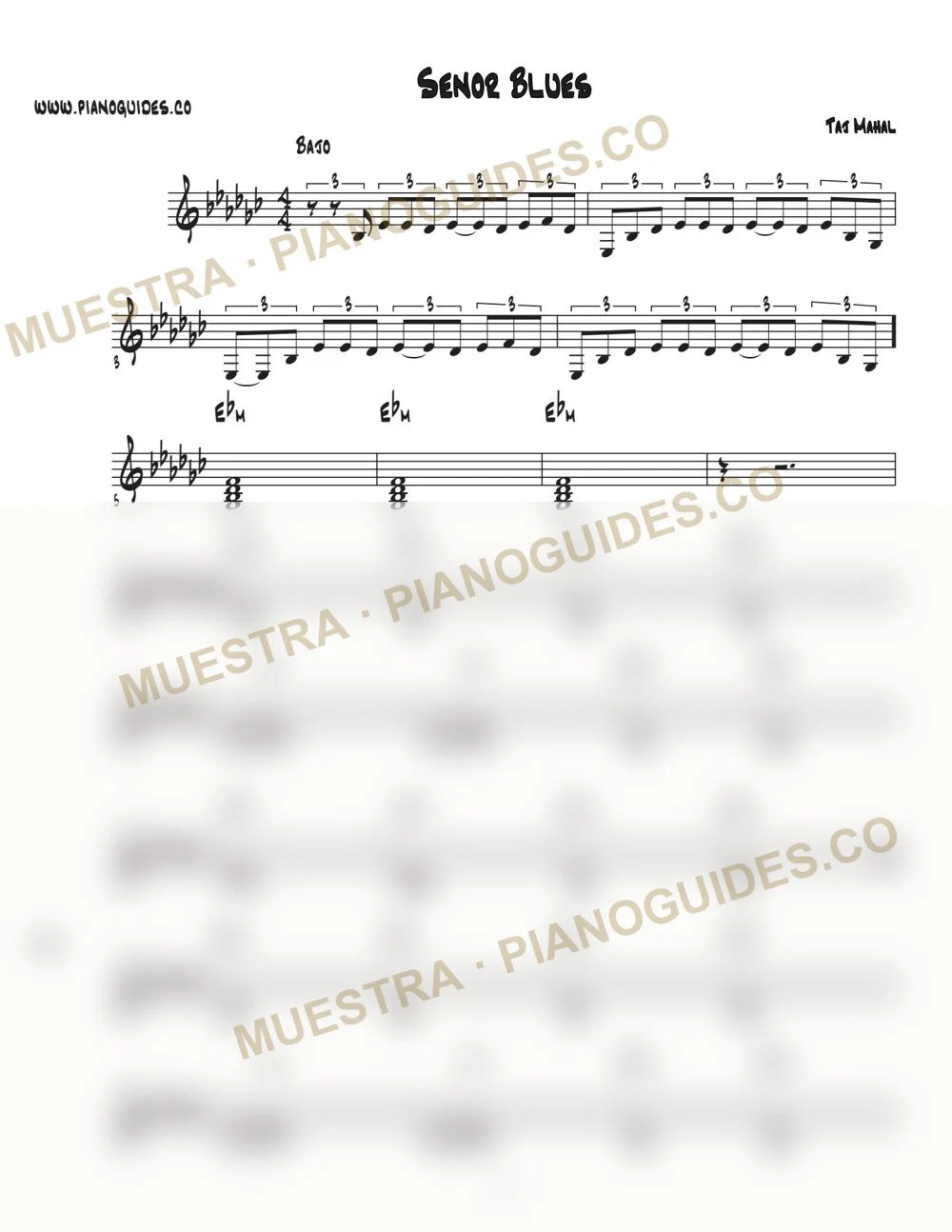 Primera página de la guía Señor Blues
