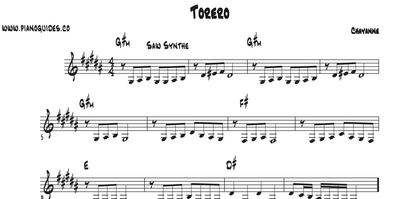 Título y primeras líneas de la guía de Torero