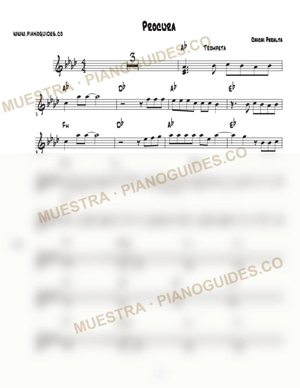 Primera página de la guía Procura