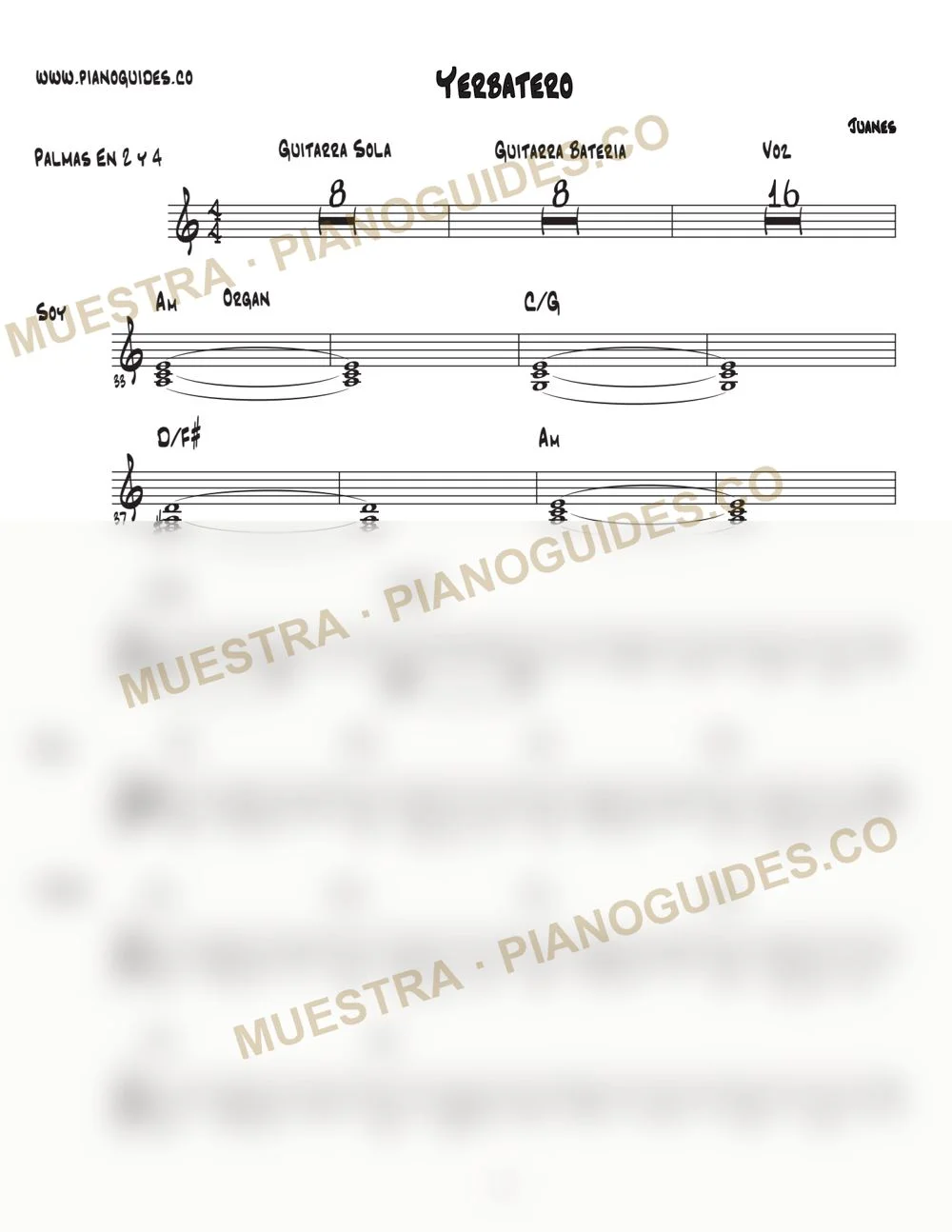 Primera página de la guía Yerbatero